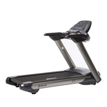 Top Sales Fitness Trademill SH-5517A (S)